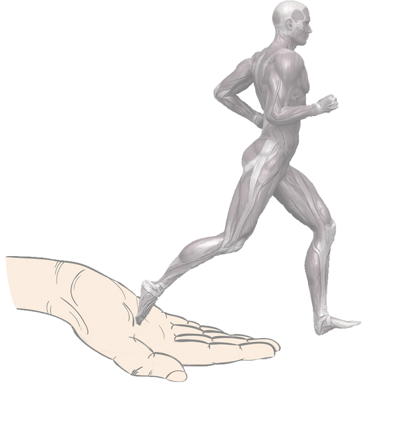 σπαγακος logo.png